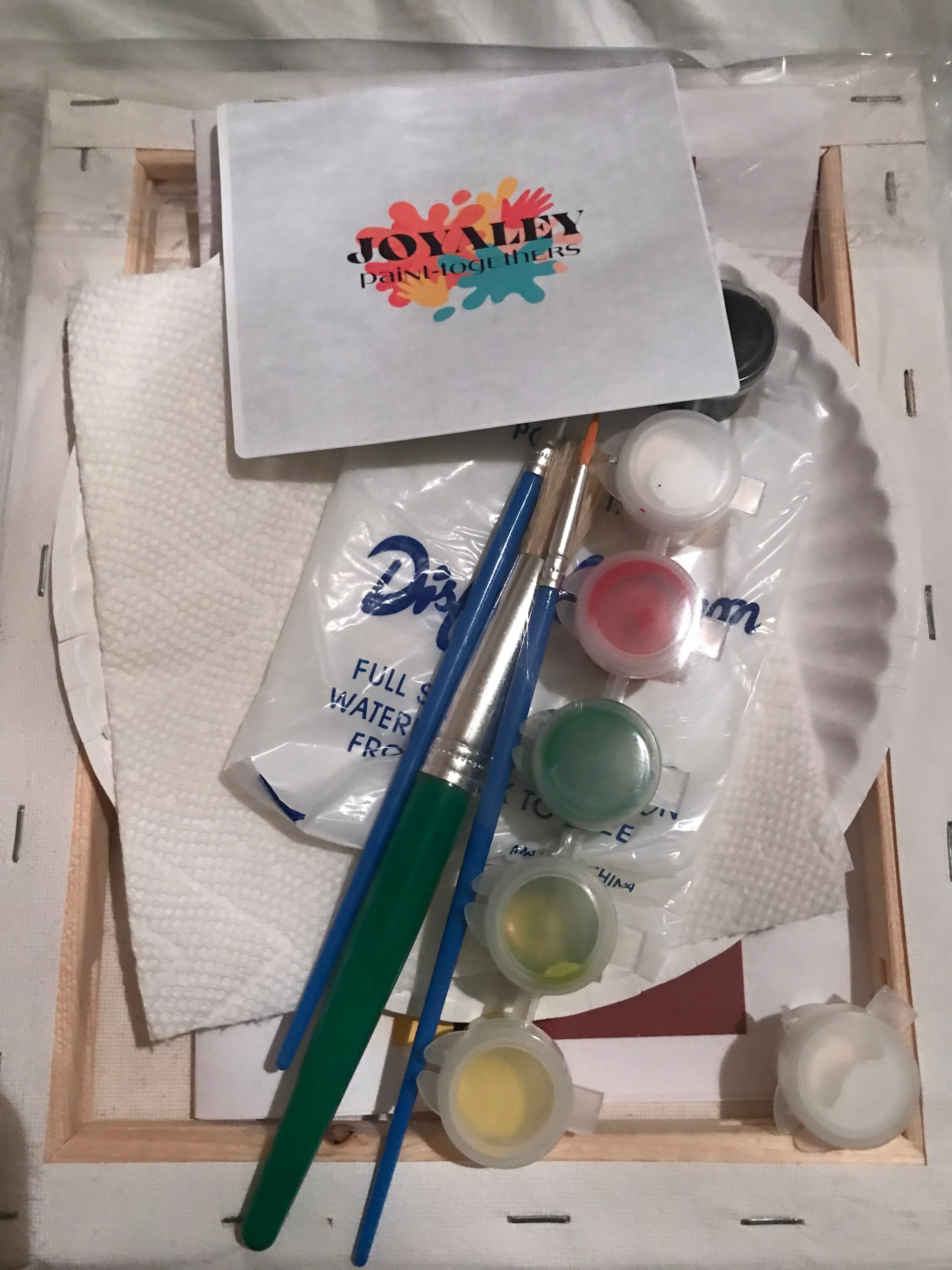 Jolly Bug Paint Kit